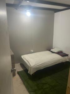 a white room with a bed with a green rug at Duval in Calama