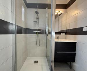 a bathroom with a shower and a sink at Anetania in Saint-Palais +25 photos