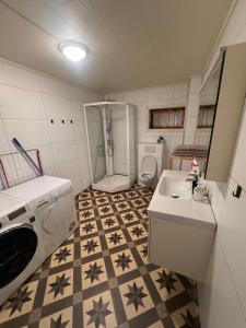 a small bathroom with a sink and a washing machine at 2 beds apartment centrally located in Gravdal in Gravdal +10 photos