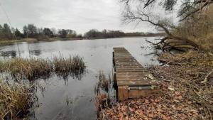 a wooden dock in the middle of a lake at Ferienwohnung Seeblick in Wustrow +1 photo