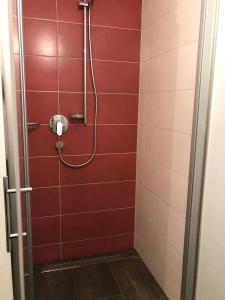 a shower with red tiles and a hose at Seeterrasse in Allensbach +19 photos