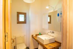 a bathroom with a sink and a toilet and a mirror at Espectacular casa rural en el corazón del Baztán in Ziga +36 photos