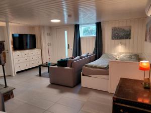 a living room with a couch and a tv at Ved sjøen i syd in Svenevik +18 photos