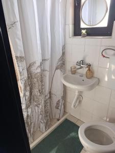 a bathroom with a toilet and a shower curtain at Veseli svet-Zvizdar,Ub in Ub
