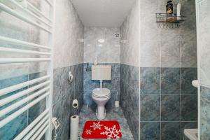 a bathroom with a toilet and a red rug at Apartment Kamrca na Kopah in Šmartno pri Slovenj Gradcu