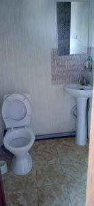 a bathroom with a toilet and a sink at Лазурит in Tamga