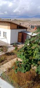 a house in the middle of a field with a plant at Лазурит in Tamga