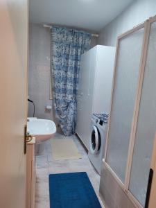 a bathroom with a sink and a washing machine at Rifugio Sereno de Tajo in Taglio di Po