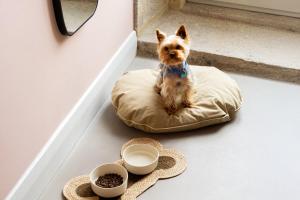 a small dog sitting on a dog bed on the floor at The Mila Porto in Porto +47 photos
