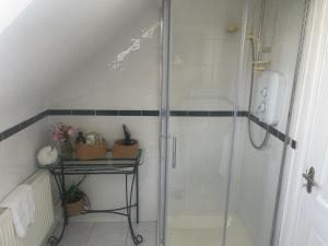 a shower with a glass door in a bathroom at Shanboley Cottage in Ballinasloe