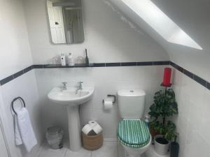 a small bathroom with a sink and a toilet at Shanboley Cottage in Ballinasloe