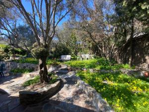 a garden with a tree and some flowers at La Caseta de Cadaqués in Cadaqués