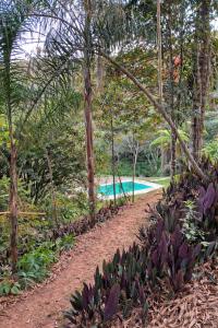 a dirt road with trees and a swimming pool at Chalé Pedra Furada in Resende