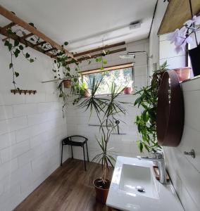 a bathroom with plants on the wall and a sink at Hidden Gem Villa & Gated Parking in Český Krumlov +34 photos