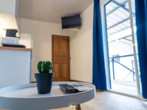 a room with a table with a potted plant on it at Le Clos de Ébéniers in Saint-Laurent du Maroni