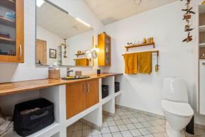 a bathroom with a sink and a toilet in it at 1075-Hanstholm-Badsgardsvej-25 in Hanstholm