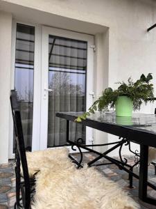 a table with a potted plant on top of a rug at Léda Vendégház in Vásárosnamény