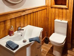 a bathroom with a white sink and a toilet at Fisherman Lodge No 2 in Enniskillen