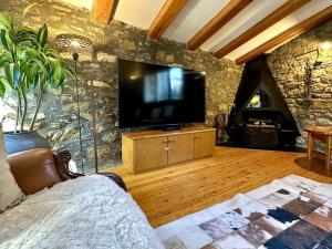 a living room with a television and a fireplace at Cal Grit casa de muntanya a Pont de Bar in Bar