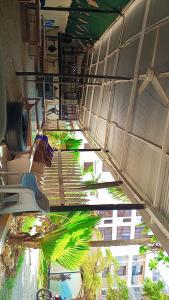 a hallway with a pool and palm trees in a building at Executive One bedroom with extra mattress 02 in Mombasa