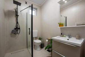 a bathroom with a shower and a toilet and a sink at Smart Apartments Central in Sighişoara