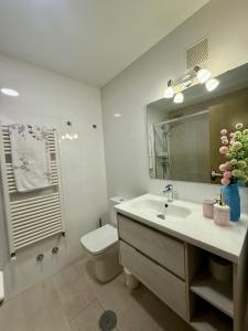 a bathroom with a sink and a toilet and a mirror at Apartamento Cimadevilla Plaza in Oviedo +22 photos