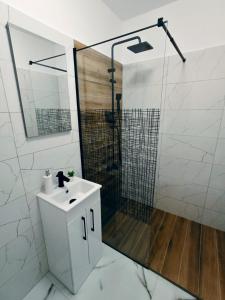 a bathroom with a shower and a white sink at FLH - Apartament Central Silva in Sibiu