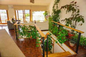 a room filled with lots of green plants at Akainij in Puerto Williams
