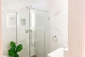 a glass shower in a bathroom with a plant at DOM Inn in Mörfelden-Walldorf +103 photos