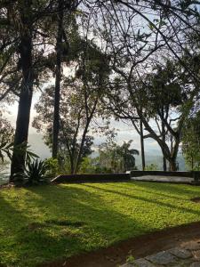 a grassy field with trees and water in the background at Malwatte Bungalows in Hali Ela