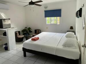 a bedroom with a large bed and a window at Caribo Cozumel in Cozumel +57 photos