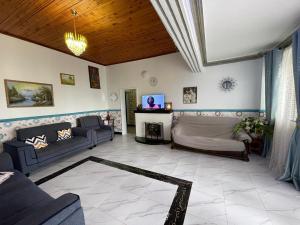a living room with two couches and a fireplace at Angel's place in Kabale