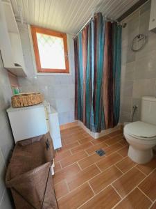 a bathroom with a toilet and a shower curtain at Off Grid Romance in Samos in Ireon +19 photos