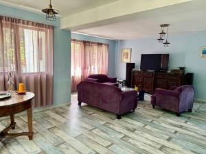 a living room with two purple chairs and a tv at MurMur Chalet in Breaza