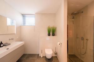 a bathroom with a toilet and a shower at Hestia (8p) in Nes +19 photos