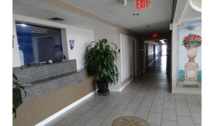 a hallway with a potted plant in a building at Regency Inn & Suites Houston East I 10 in Houston