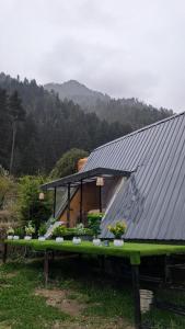 a house with a metal roof with plants on a table at Kasol A-Frame Cottage in Kasol