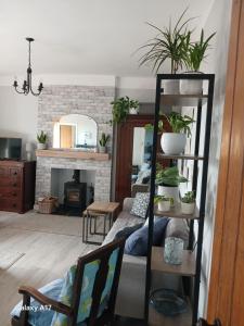 a living room with plants on a shelf at BARHOLM CROFT Holiday Cottage in Creetown