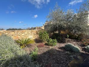 a garden with plants and a stone wall at Ta' Cenc Residence Block C, Apt 4 in Sannat