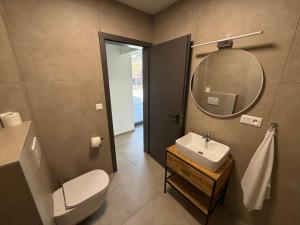 a bathroom with a toilet and a sink and a mirror at Jamy House in Habovka