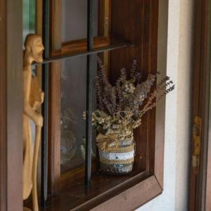 a plant in a vase on a window sill at Feketebács Nyaralóház in Káptalantóti