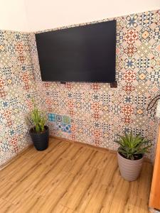 a flat screen tv on a wall with two potted plants at Julie's AIRPORT Apartment in Marrakesh