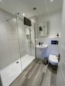 a bathroom with a shower and a toilet and a sink at Silver Birch Cottage in Aviemore +3 photos
