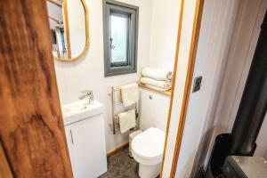 a bathroom with a toilet and a sink and a mirror at Shepherds View in Ashbourne