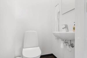 a white bathroom with a toilet and a sink at OH543-Hadsund-Haslevgarde-eng-16 in Hadsund +21 photos