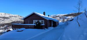 a cabin in the snow with a snow covered driveway at Fjellheim in Tyinkrysset