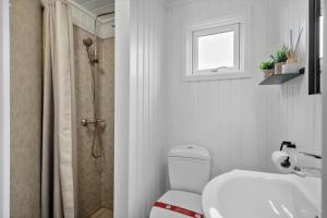 a bathroom with a shower and a toilet and a sink at 313-Harboore-Fourmivej-68 in Harboør +23 photos