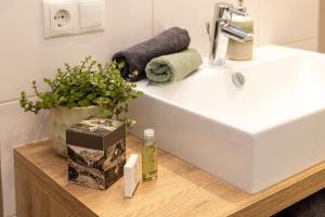 a bathroom sink with a plant on a wooden table at Studio Toblaten in Inzing +19 photos