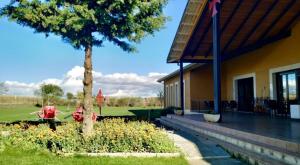 a house with a tree next to a yard at Albergue Los Templarios in Terradillos de Templarios +15 photos