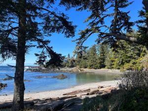 a beach with some trees and water and some water at Suite and Simple in Ucluelet